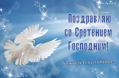 ПОЗДРАВЛЯЮ СО СРЕТЕНИЕМ ГОСПОДНИМ !!! ~ Открытка (плейкаст)