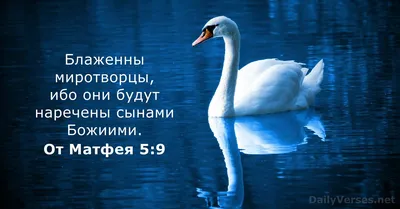 Стихи из Библии (Притчи 4:23) #СтихиизБиблии — Видео | ВКонтакте