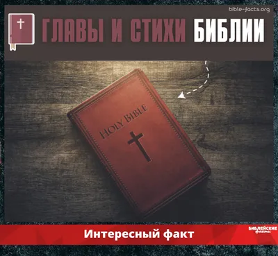 LiveBible / Живая Библия. Стихи из Библии, цитаты, проповеди - \"1  Благодарите Господа, потому что Он благ и милость Его навеки. 2 Пусть  скажет Израиль: «Милость Его навеки». 3 Пусть скажет дом