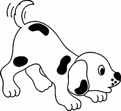 Исландский Овчарка Логотип Собаки Вектор Черно Белый Винтажные Милые Головы  Векторное изображение ©svetomircomua 665774566