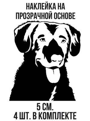 Трафарет для наклейки собаки черно-белый » maket.LaserBiz.ru - Макеты для  лазерной резки