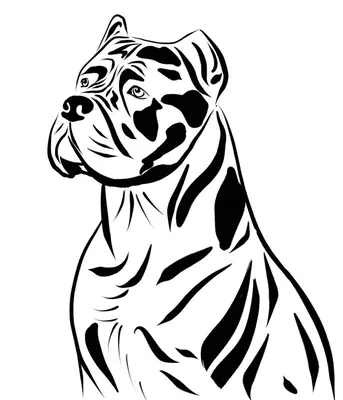 Раскраска собаки . Черно-белые картинки собаки для раскрашивания. Много  раскрасок.