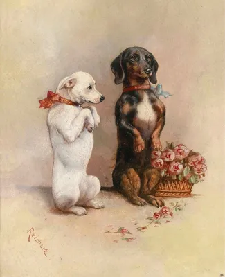 Картинки по запросу озорные псы картинки декупаж | Картины собак,  Изображения собак, Винтажная собака