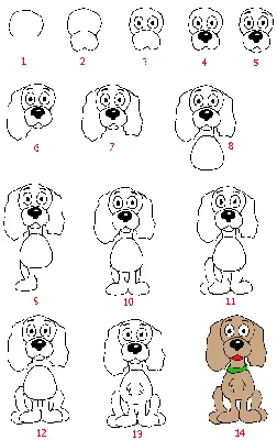 Как нарисовать собаку поэтапно | Учимся рисовать собаку вместе с Художник  Онлайн