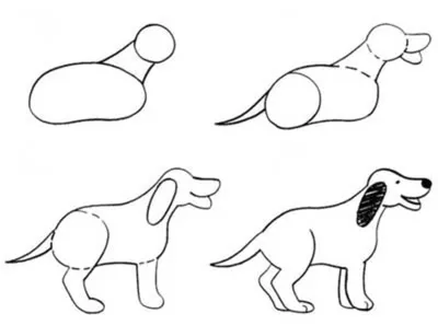 Как нарисовать собаку | Блог художника | Рисунки, Рисунки животных,  Рисование