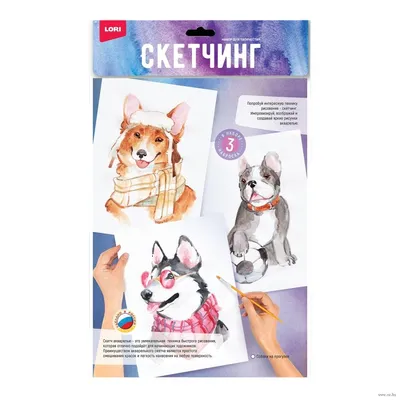 Трафарет для рисования \"Породы собак\" - купить с доставкой по выгодным  ценам в интернет-магазине OZON (1287111493)
