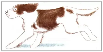 Коллекция мультфильма вектора собак установлено рисования. Иллюстрация быка  ямы золотого Retriever «бульдог» Иллюстрация вектора - иллюстрации  насчитывающей жизнерадостно, остерегайтесь: 173106587
