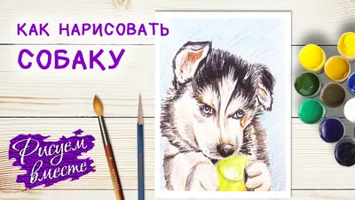 Книга для рисования животными, как рисовать собак | AliExpress