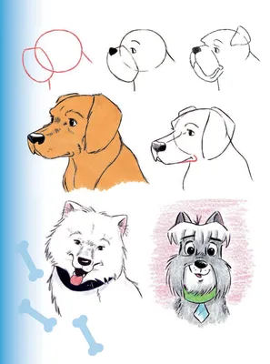 В животном мире. Образ собаки. Черно-белая окраска рисования. Иллюстрация  штока - иллюстрации насчитывающей собачий, иллюстрация: 206567079