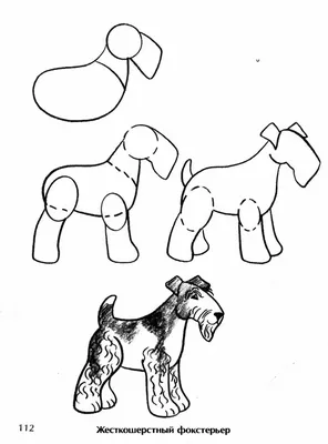 Книга \"Учимся рисовать кошек и собак. Пошаговые уроки по созданию домашних  любимцев\" КН-978-5-04-109657-1 - купить в Москве в интернет-магазине  Красный карандаш