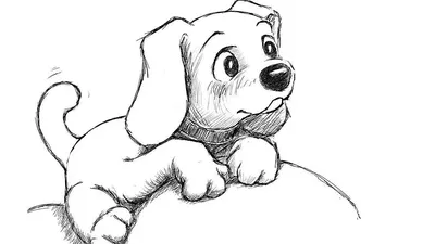Детский рисунок собаки простым карандашом (45 фото) » рисунки для срисовки  на Газ-квас.ком