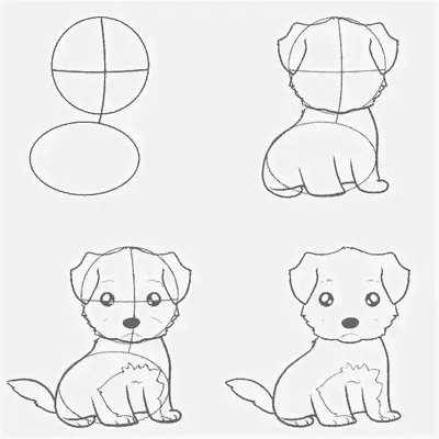 Как нарисовать СОБАКУ карандашом How to Draw a DOG | Art School - YouTube