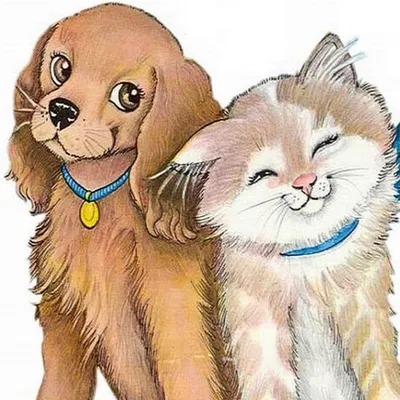 Картинки собак и кошек - 80 фото