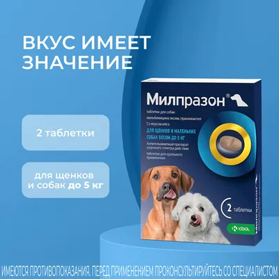 Как провести дегельминтизацию собак и щенков? Какие препараты выбрать