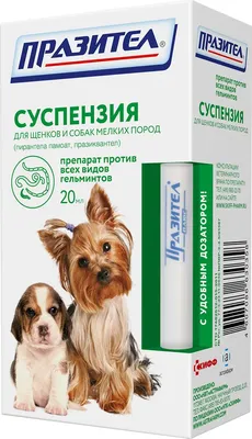 Купить корм Royal Canin Mini Starter для щенков малых пород -  Интернет-зоомагазин Zoolove