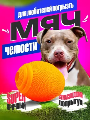 Сухой корм для щенков средних пород собак Royal Canin Medium Puppy (Медиум  паппи) 3 кг купить в Екатеринбурге | 190235/4627109389742 | Заповедник
