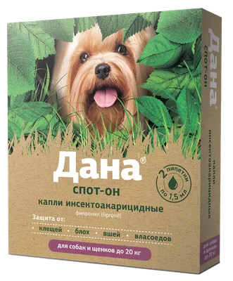 Вакцинация собак и щенков на дому в Санкт-Петербурге и ЛО | Вызов  ветеринара для вакцинации собак 300₽