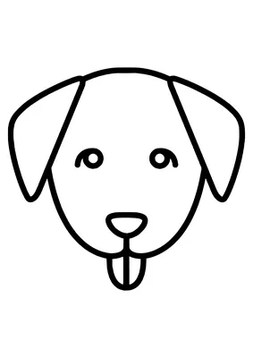 Лицо собаки рисунок карандашом (48 фото)