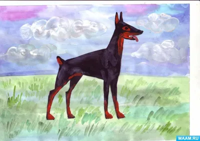 Особенности рисования собак разных пород
