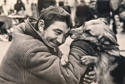 Одесский фотограф напоминает: «Собака — друг человека» (фото) | Новости  Одессы