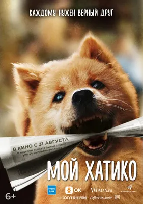 Малоизвестные факты о Хатико | ВКонтакте