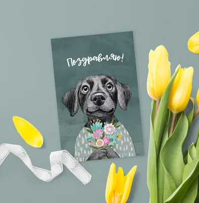 Собака с цветами - поздравляю - открытка - купить в интернет-магазине -  международный женский день