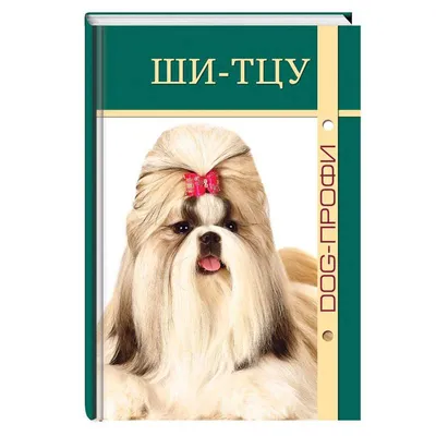 Одинаковы с лица: 18 пород собак, которые часто путают между собой -  Питомцы Mail.ru