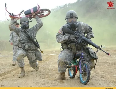 Американские военные испугались гуся — смешное видео