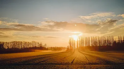 Солнце Лучами Абстрактного Фона Иллюстрация стоковое фото ©patrice67  238156122