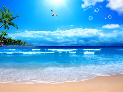 Обои Разное Ракушки, кораллы, декоративные и spa-камни, обои для рабочего  стола, фотографии разное, ракушки, кораллы, декоративные и spa-камни,  beach, starfishes, summer, sunshine, seashells, песок, солнце, море, пляж,  sea, звезды, sand Обои для