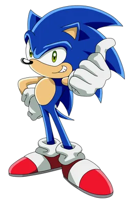 Sonic the Hedgehog | Sonic X: Heroes Forever Wiki | Fandom