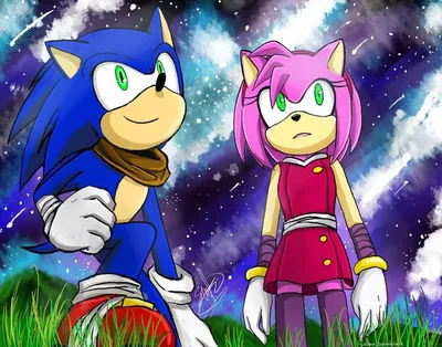 Amy (Sonic X) | Amy rose, Sonic, Amy the hedgehog