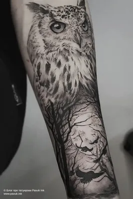 Тату сова и лес на руке | Блог про татуировки pavuk.ink | Татуировки совы  на груди, Маленькая татуировка совы, Дизайн татуировки совы