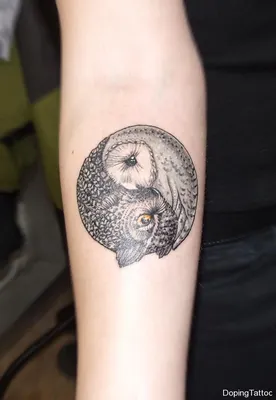 Тату сова – 3 фото | Красивые татуировки с совой