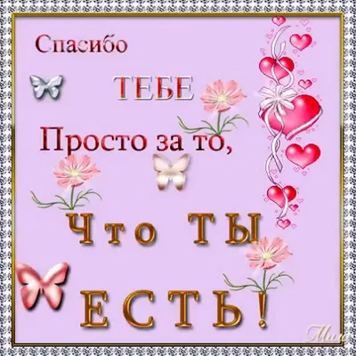 Бенто торт «Спасибо, что ты есть», Кондитерские и пекарни в  Санкт-Петербурге, купить по цене 1400 RUB, Бенто-торты в Macaron maker с  доставкой | Flowwow