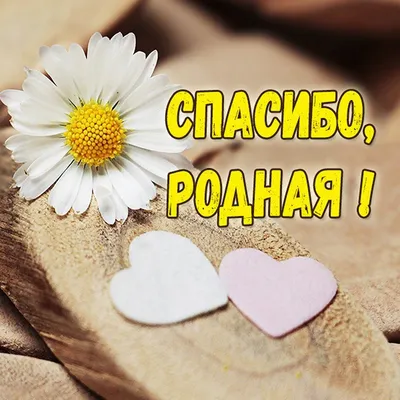Картинки спасибо родная