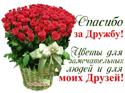Валентина - Всем Всем Всем моим друзьям. Спасибо за дружбу🤗🤗🤗🤗🤗🤗🤩🤩🤩🤩🤩🤩🤩  #деньдружбы #веселыекартинки2019 #смехирадoсть | Facebook