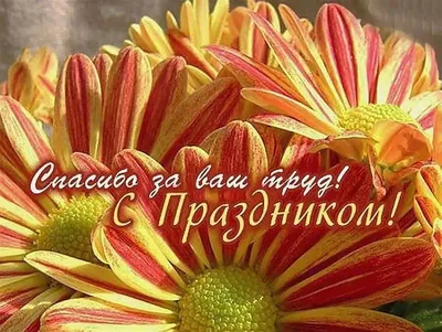 С днём учителя. — БУ ОО \"ЦСОН Мценского района\"