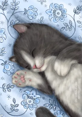 Спящие котята | Пикабу