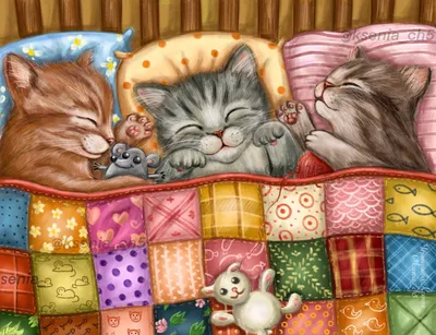 Топ-10 видео спящих котов, которыми можно любоваться бесконечно