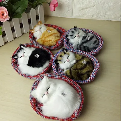 Фотография спящего полосатого кота крупным планом · Бесплатные стоковые фото