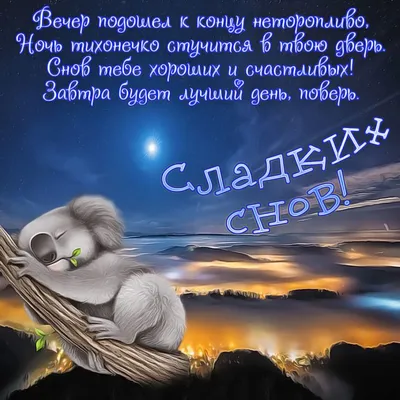 Спокойной Ночи Спать Карлик - Бесплатное фото на Pixabay - Pixabay
