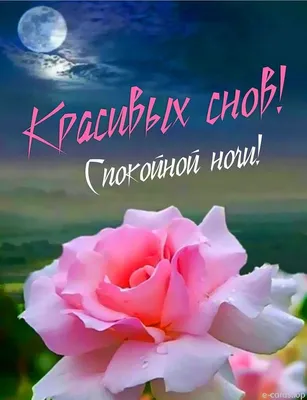 Pin by Tsaryk Ekaterina on Маковый торт | Cards for friends, Good night,  Night