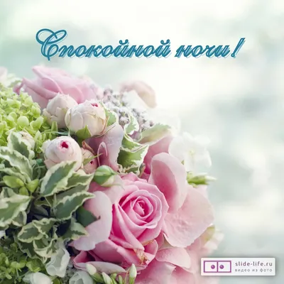 Спокойной ночи красивая открытка с цветами — Slide-Life.ru