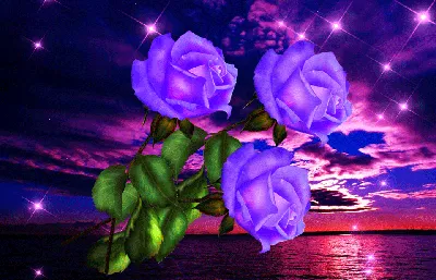 Спокойной ночи любимая цветы