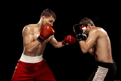 Это просто бизнес» Мэйуэзер вышел на ринг против звезды YouTube. Зачем  легендарный чемпион превращает бокс в фарс?: Бокс и ММА: Спорт: Lenta.ru