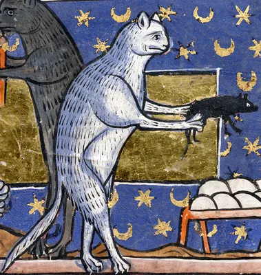 Почему котики на картинах Средневековья такие странные? | Пикабу
