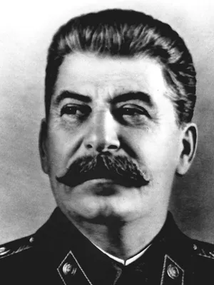 Сталин, Иосиф Виссарионович - ПЕРСОНА ТАСС