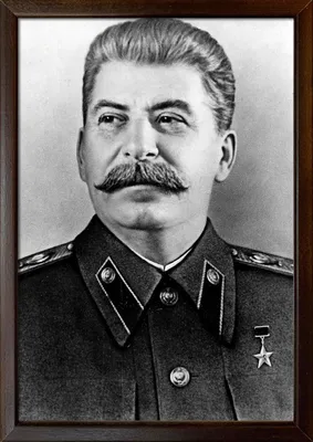 В Словакии начали расследование из-за демонстрации портрета Сталина - РИА  Новости, 06.07.2023