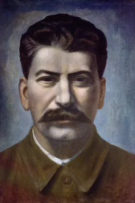 Портрет Сталина И.В. в рамке под дерево / А-3 (30x42 см.) - купить по  низкой цене в интернет-магазине OZON (408178127)
